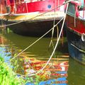 Couleurs éclatantes du quai Saint-Cyr à Rennes le 25 mai 2015 (1)