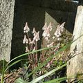 PÂQUES À LA BOURDAISIÈRE