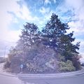 Rond-point à Strassen (Luxembourg)