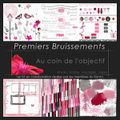 Premiers bruissements