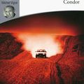 Condor, de Caryl Férey