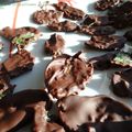 Feuilles de Menthe Cristallisées au Chocolat