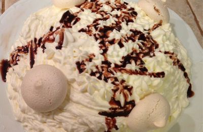 Vacherin vanille/chocolat avec coulis de chocolat.