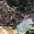 TOUR DE JARDIN