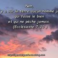 Ecclésiaste 7:20 (Verset Ilustré)