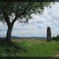 Menhir d' UXELLES...