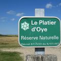 CARNET DE VOYAGE - Le Platier d'Oye