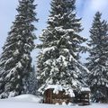 Étape 6 : 31 Janvier : La Chapelle-des-bois - Le grenier des Rousses