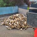 Il est temps......de rentrer son bois de chauffage