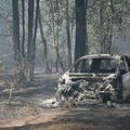 Important incendie à Lacanau