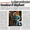 Les métiers qui se perdent : Branleur d'éléphants