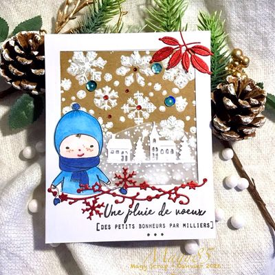 Une carte Polaroïd !