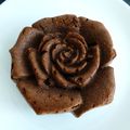 gâteau hyperprotéiné chocolat et son d'avoine avec psyllium, teff, amarante, sarrasin, kamut (sans sucre ni beurre ni oeufs)
