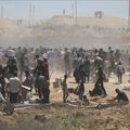 !!Génocide à Gaza: J 606!! 19 mois de silence face au génocide en cours à Gaza...