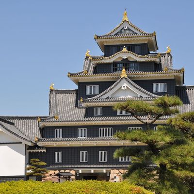 Okayama, le chateau des corbeaux