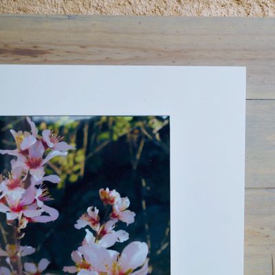 Le printemps s'annonce