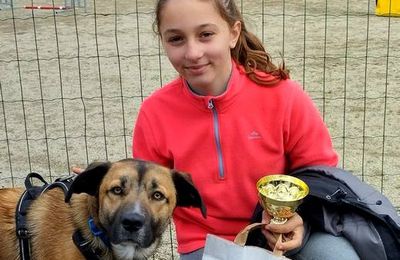 Le premier concours d'Agility de Morgane le 1er avril 2023 à Brest.