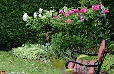 Les floraisons de juin dans tous leurs états dans mon jardin