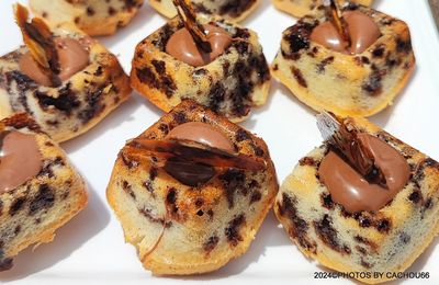 Mini tigrés, mignardises au chocolat (All Cook)