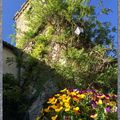 Bouquet du week end