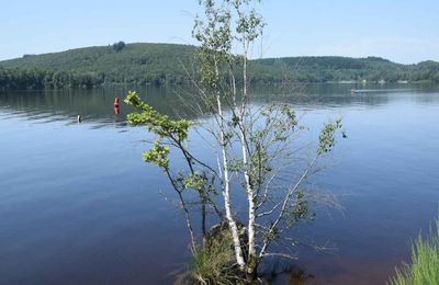 Balade dans l'île de Vassivière (Creuse) le 31 juillet 2024 (2)
