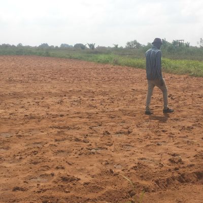 l'amenagement du terrain et la labour avant de commencer avec plantation 