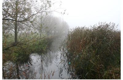 Bourgoyen sous le brouillard