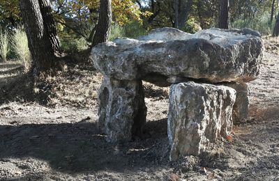 Un nouveau dolmen !