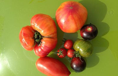 si belles tomates !