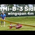 Un planeur vintage : le Mimi-B3-Šidlo de 4m