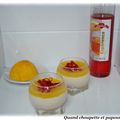 PANNA COTTA FACON SPRITZ