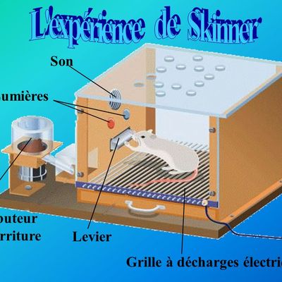 Le système éducatif, machine à conditionner.