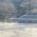 Le lac se pare de blanc