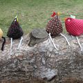 Mes petites poulettes