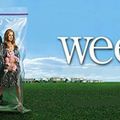 Weeds... pourquoi est ce que c'est une serie géniale