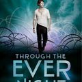 Through the ever Night [Never Sky #2]