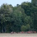 Petit matin de septembre