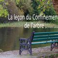 La leçon du Confinement de l'arbre