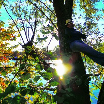 L'Homme et la nature. 