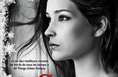 Meg Corbyn, tome 3: Gris Présages