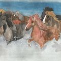 Chevaux à l'aquarelle