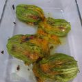 Fleurs de courgettes farcies végétariennes