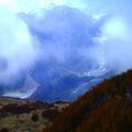 Fox Glacier.