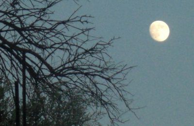 Photo de lune (Alger Octobre 2009)
