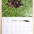 Le fameux SCRAP-CALENDRIER