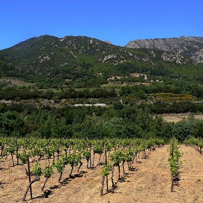 On profite du soleil