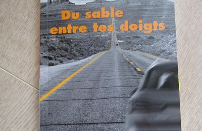 Du sable entre tes doigts - Patrice Favaro