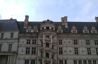 Escalier François Ier #covid visite à l' écran