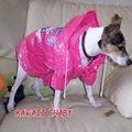 Manteau de pluie pour chien ? (Mannequin : Vicky)