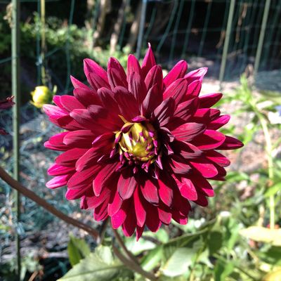 PARRAINAGE GRATUIT CHEZ "LA PARFUMERIE EUROPE"